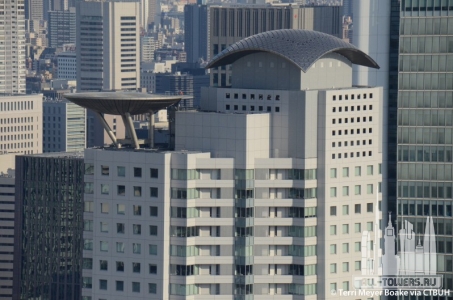 herbis-ent-tower_terri-meyer-boake2