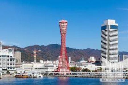 Без названия