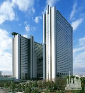 Без названия