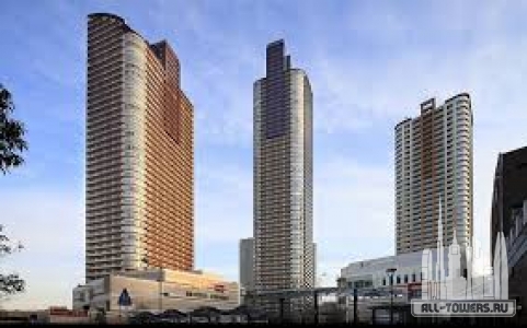 Без названия (1)