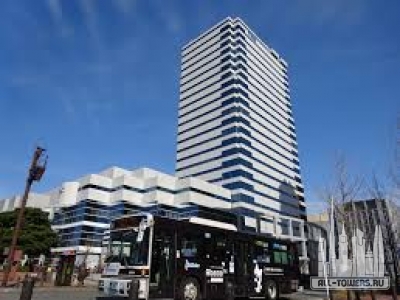 Без названия