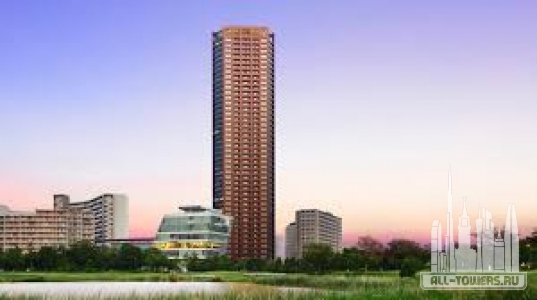 Без названия