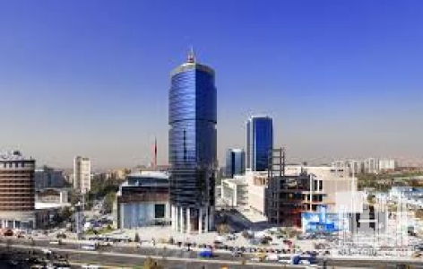 Без названия (1)