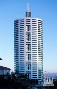 Без названия (3)