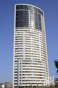 Без названия