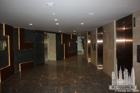 varyapmeridian_int-intr_1_(c)varyap