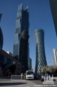 palm-tower-2_terri-meyer-boake6