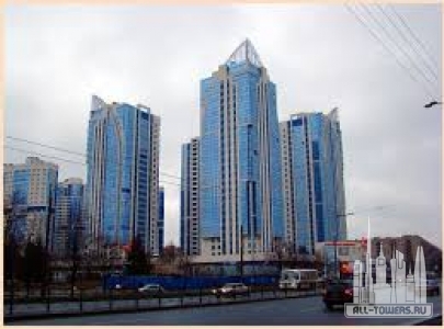 Без названия (1)