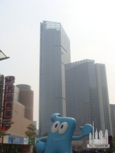 large_T5Jr_1622o206095