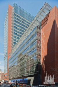 img_5e8b233ed0fc425d0640a0a488800238_2_1400x1100