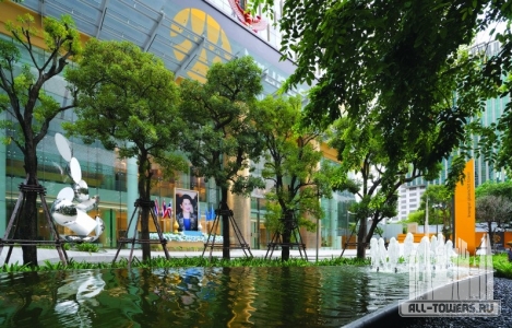 2018-09-26-07-46-55_5bab396f0d204