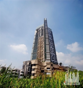 thepano_ext-wetlands_(c)patrick-bingham-hall