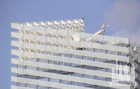 torre-puig_terri-meyer-boake2