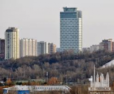 Без названия