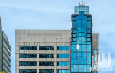 338-pitt-street_roberto-portolese2