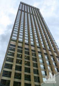 201-elizabeth-street_roberto-portolese9