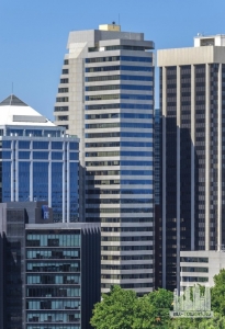 forrest-centre_roberto-portolese1