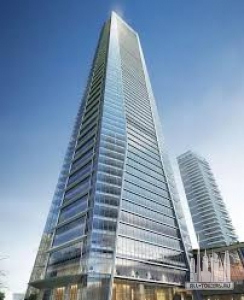 Без названия