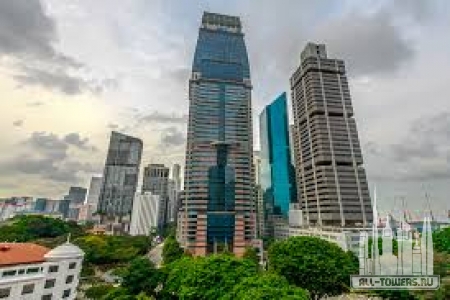 Без названия