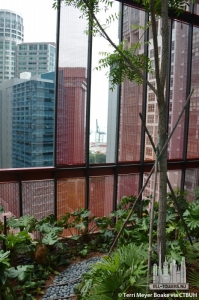 oasia-downtown_terri-meyer-boake12