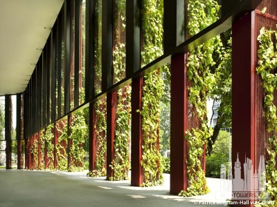 oasia-hotel-downtown_patrick-bingham-hall8