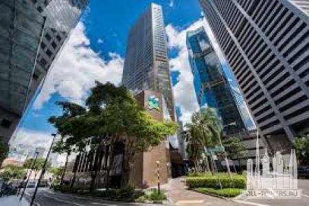 Без названия