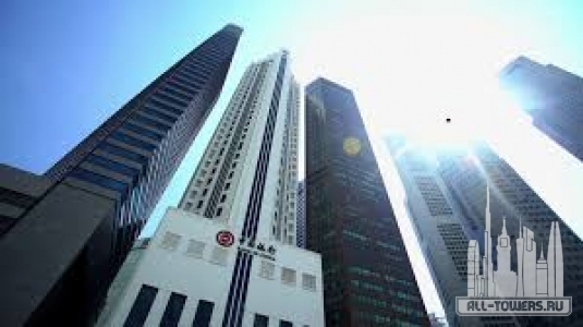 Без названия (3)