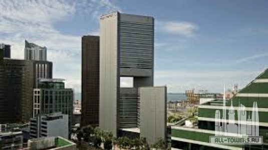 Без названия (1)