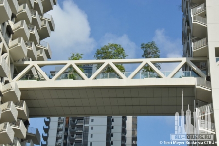 sky-habitat-block-7_terri-meyer-boake3