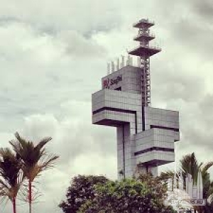 Без названия