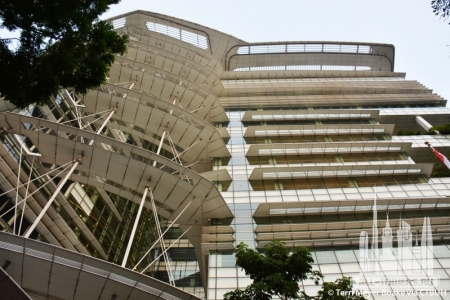 national-library-of-singapore_terri-meyer-boake5