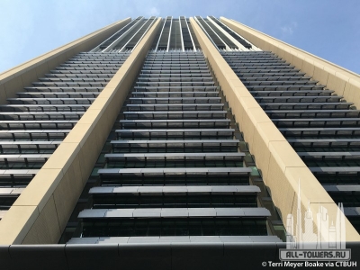 the-index_terri-meyer-boake9