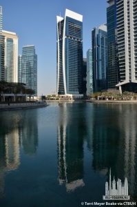 goldcrest-views-1_terri-meyer-boake2