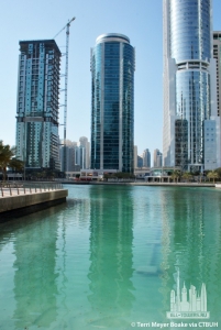 fortune-tower_terri-meyer-boake7