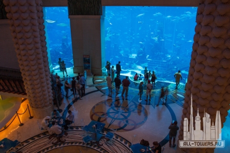 55e5bd1080c1011113798325c11af36f75b