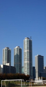 3113351784_bec1de8650_b