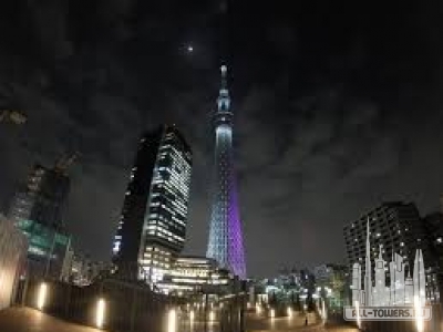 Без названия (3)