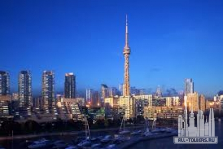 Без названия