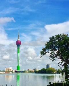 37604539476_fec0b4b9b7_o